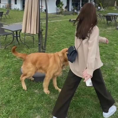独奏